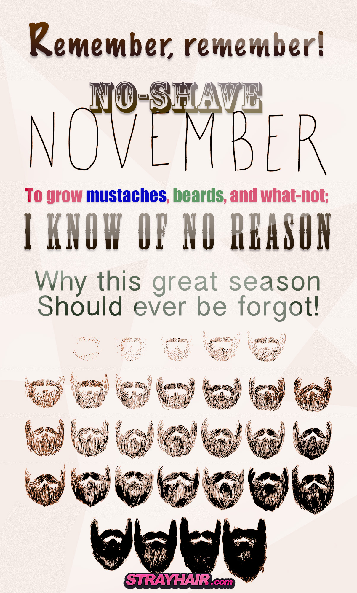 no-shave november poster